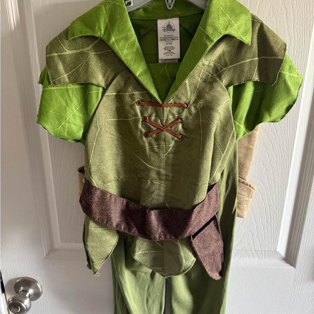 Disney Peter Pan costume